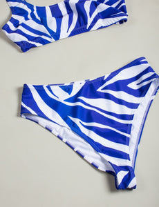 product picture of high waisted bikini bottom in blue zebra print